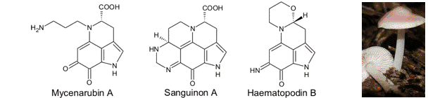 Pyrrolochinolinalkaloide